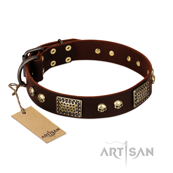 Adjustable leather dog collar for daily walking your doggie