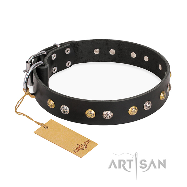 Daily walking embellished dog collar with strong traditional buckle