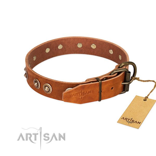 Rust-proof decorations on full grain genuine leather dog collar for your four-legged friend