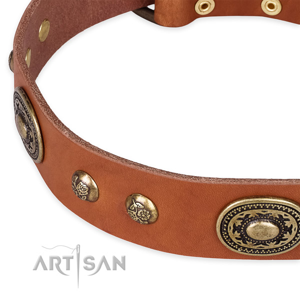 Inimitable genuine leather collar for your attractive dog