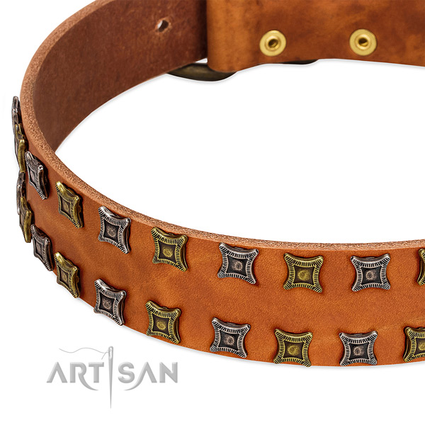 Best quality full grain natural leather dog collar for your attractive four-legged friend