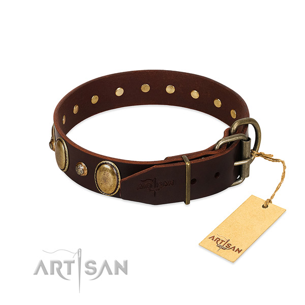 Rust-proof buckle on full grain leather collar for daily walking your four-legged friend