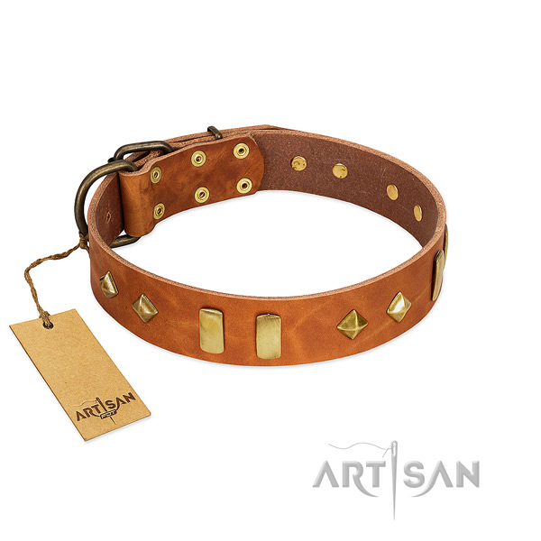Daily walking top rate genuine leather dog collar with embellishments