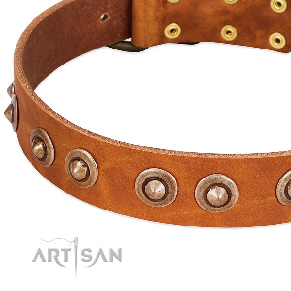 Rust resistant D-ring on full grain leather dog collar for your pet
