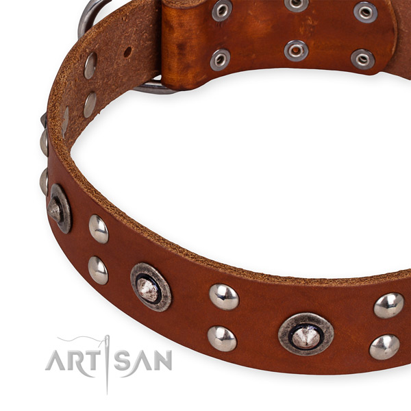 Full grain natural leather collar with rust resistant traditional buckle for your impressive dog