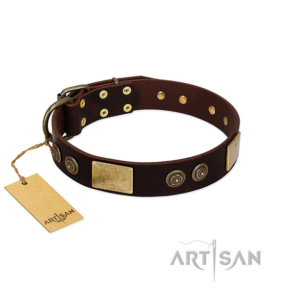 Strong decorations on genuine leather dog collar for your pet