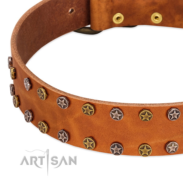 Stylish walking natural leather dog collar with top notch decorations