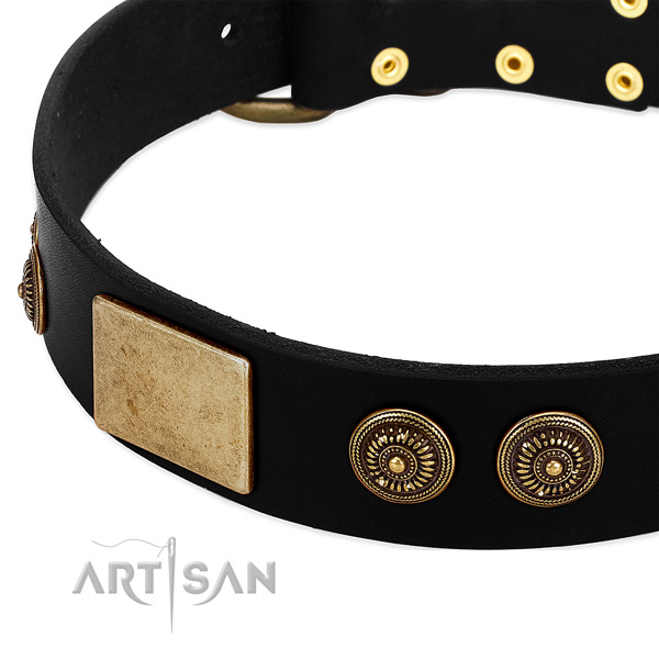 Strong studs on genuine leather dog collar for your pet