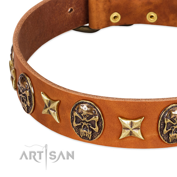 Rust resistant decorations on full grain genuine leather dog collar for your four-legged friend