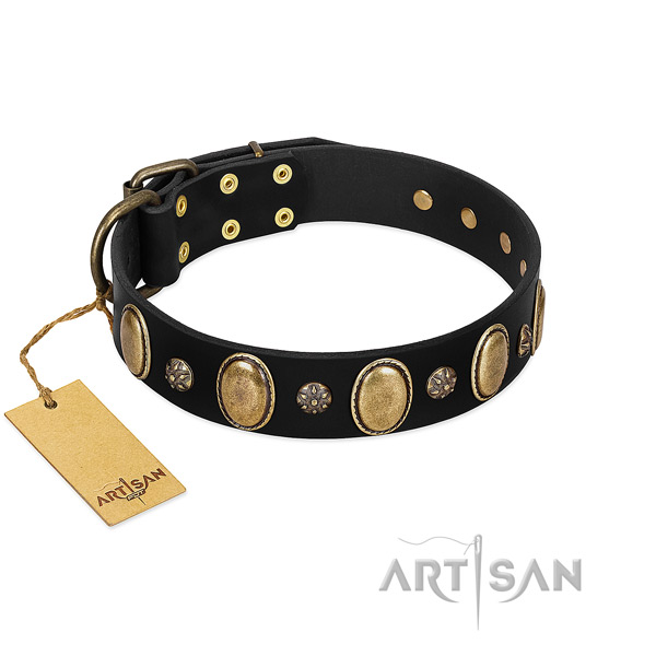 Walking flexible full grain leather dog collar with embellishments