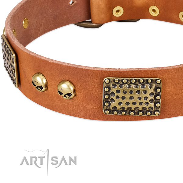 Reliable buckle on full grain leather dog collar for your canine