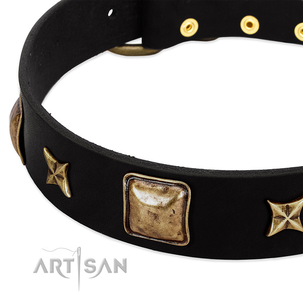 Genuine leather dog collar with inimitable studs