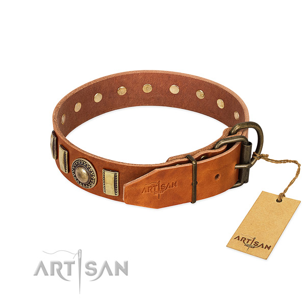 Top notch full grain leather dog collar with rust resistant fittings