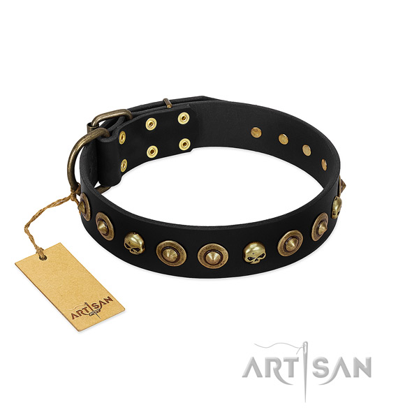 Full grain natural leather collar with stylish design adornments for your four-legged friend