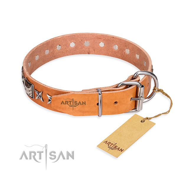 Quality embellished dog collar of genuine leather
