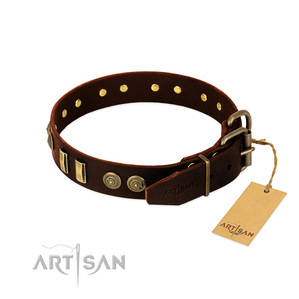 Corrosion proof traditional buckle on natural leather dog collar for your dog