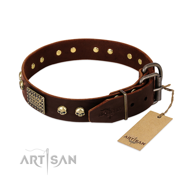 Reliable adornments on basic training dog collar