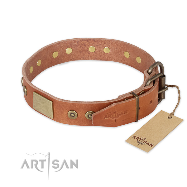 Corrosion proof fittings on full grain leather collar for basic training your canine