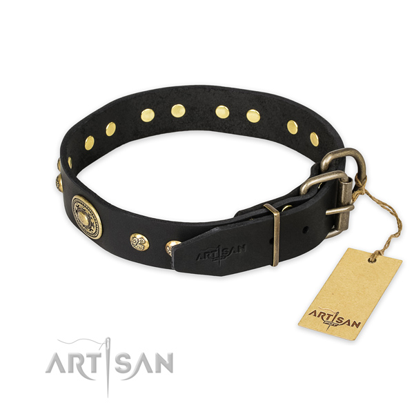 Reliable fittings on full grain leather collar for stylish walking your doggie