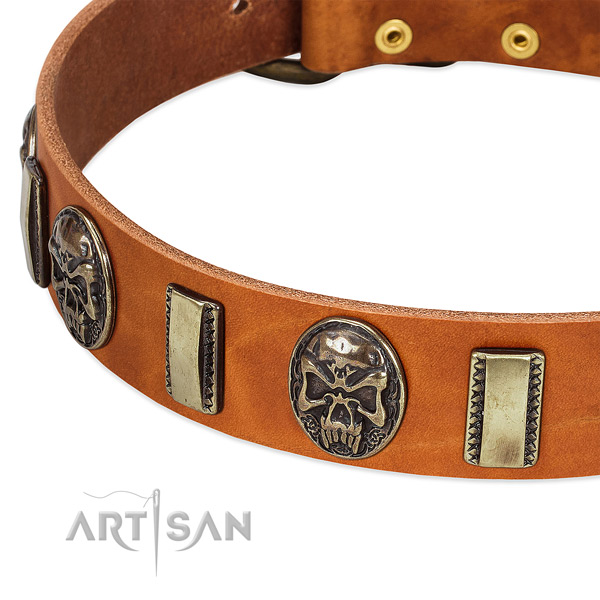 Corrosion proof D-ring on genuine leather dog collar for your doggie