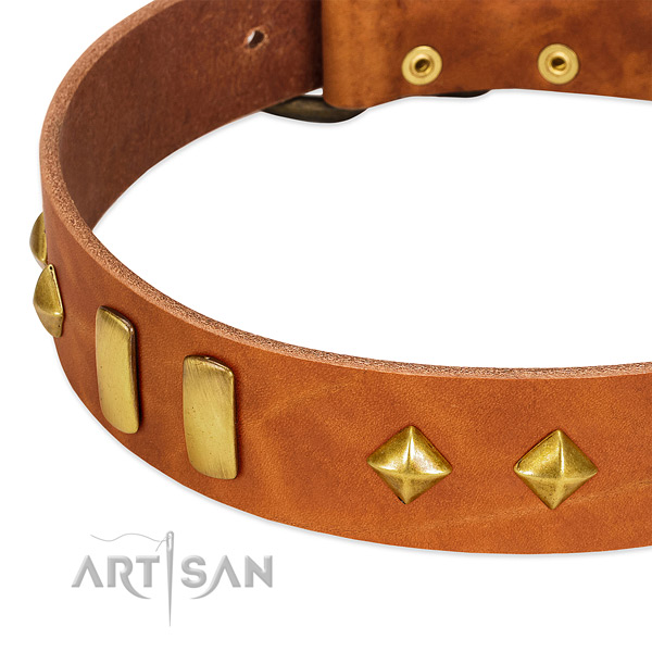 Stylish walking full grain genuine leather dog collar with exquisite adornments