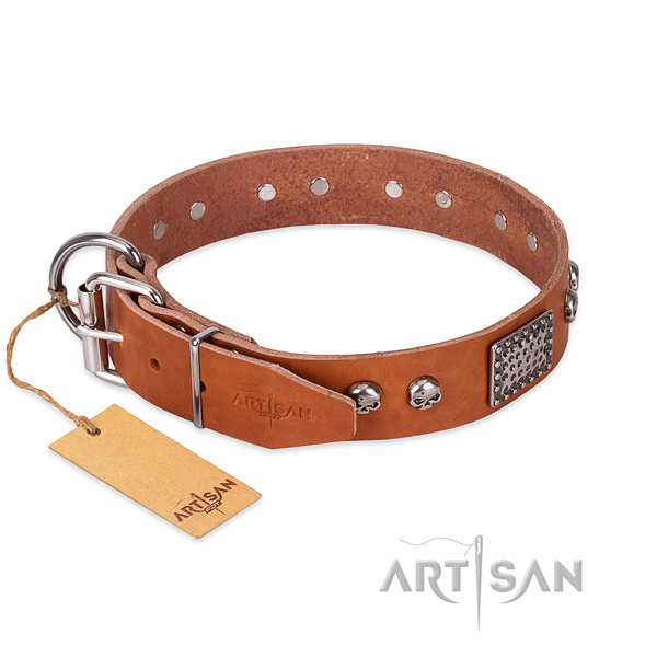Rust resistant traditional buckle on everyday use dog collar