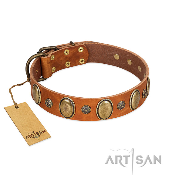Easy wearing top notch leather dog collar with decorations
