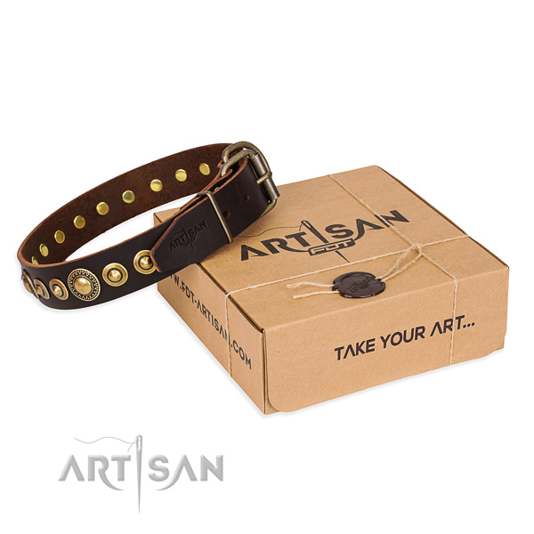 Top notch full grain natural leather dog collar created for daily walking