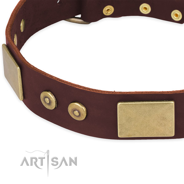 Full grain leather dog collar with embellishments for walking