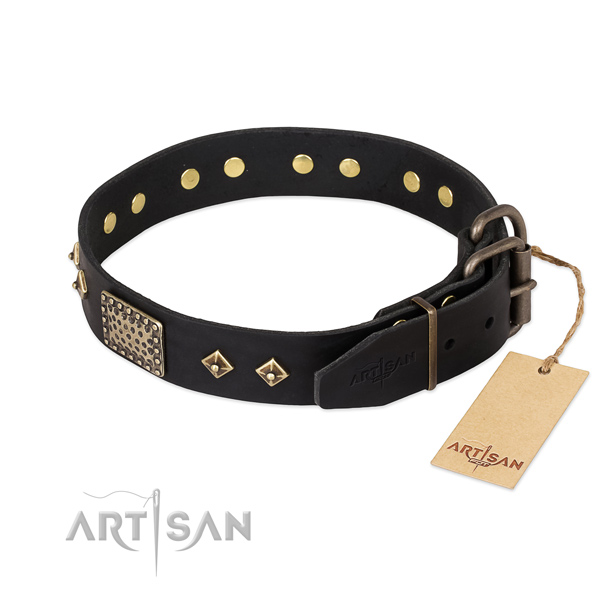 Leather dog collar with corrosion resistant hardware and decorations