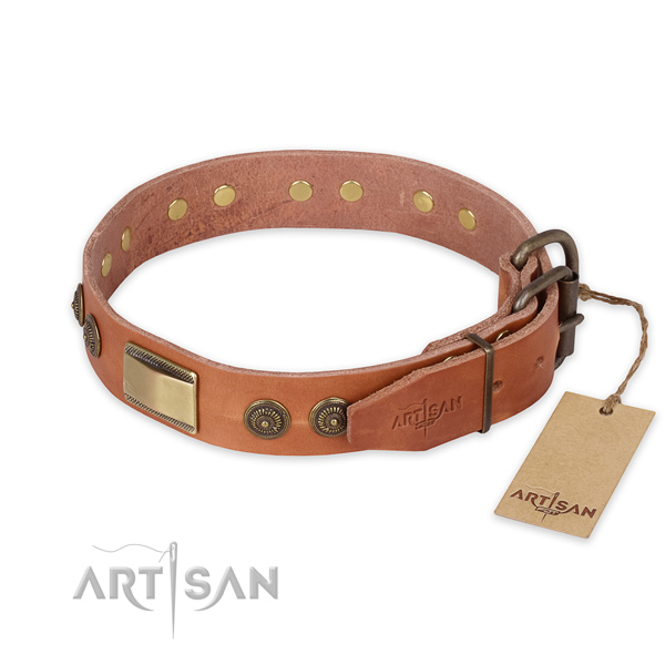 Rust resistant buckle on leather collar for stylish walking your doggie