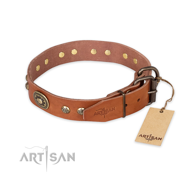 Corrosion proof buckle on full grain natural leather collar for stylish walking your pet