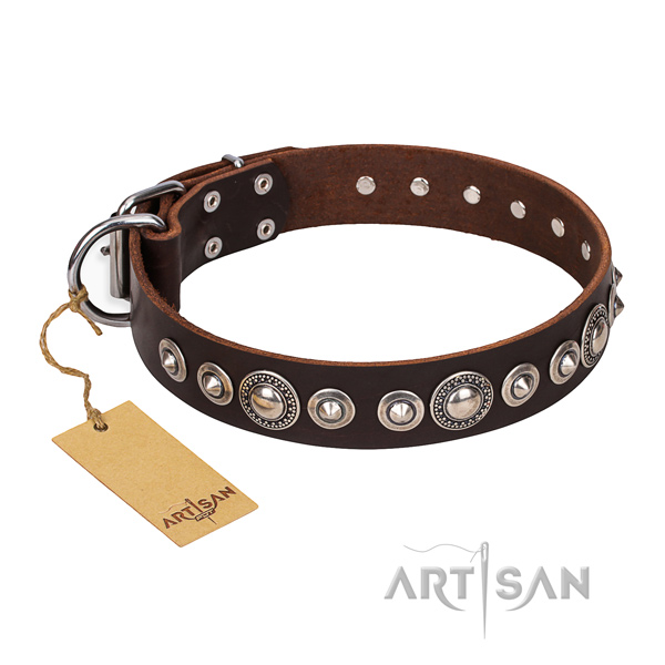 Quality embellished dog collar of natural leather