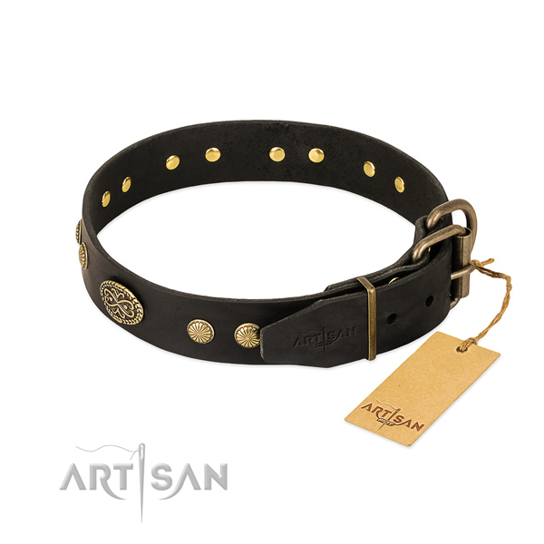 Rust-proof traditional buckle on leather dog collar for your pet
