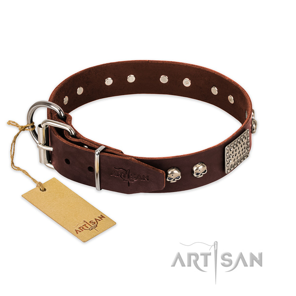 Reliable buckle on comfy wearing dog collar