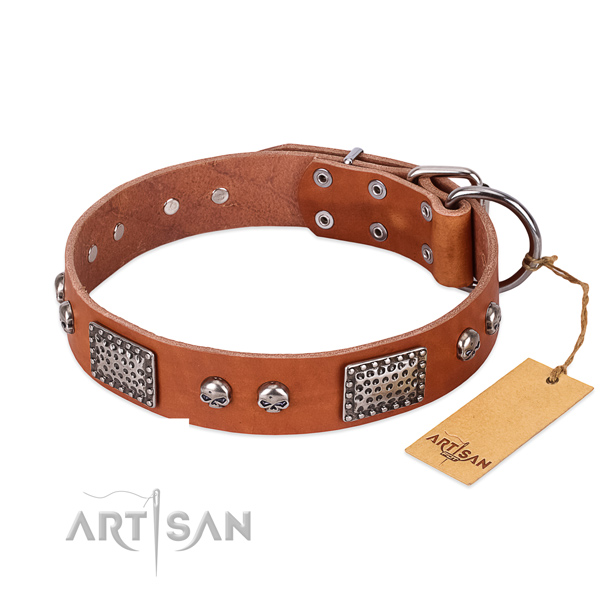 Easy to adjust full grain natural leather dog collar for stylish walking your dog