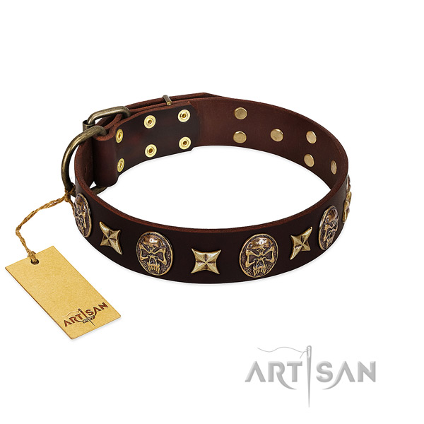 Amazing leather collar for your doggie