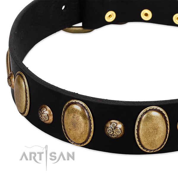 Genuine leather dog collar with unusual embellishments