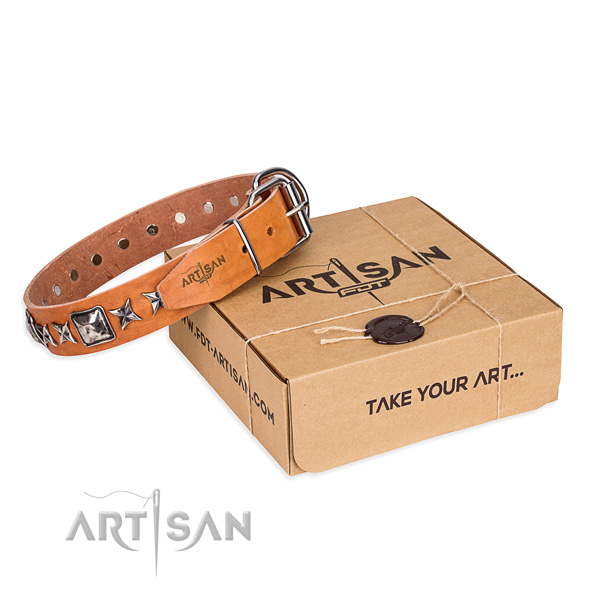 Fancy walking dog collar of high quality natural leather with adornments