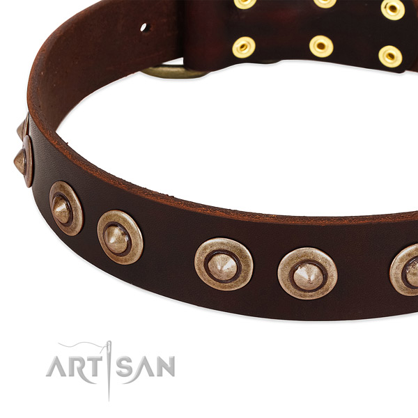 Corrosion resistant adornments on full grain natural leather dog collar for your doggie