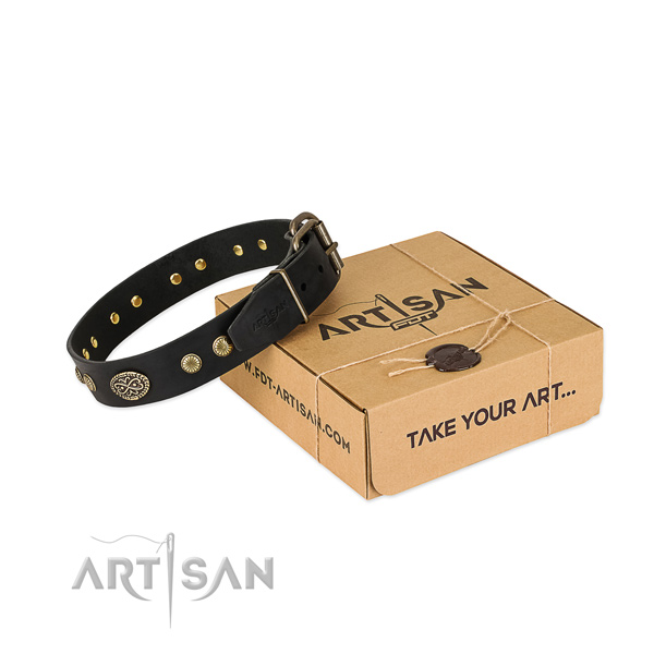 Durable embellishments on full grain natural leather dog collar for your doggie