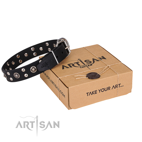 Fancy walking dog collar with Amazing corrosion resistant studs
