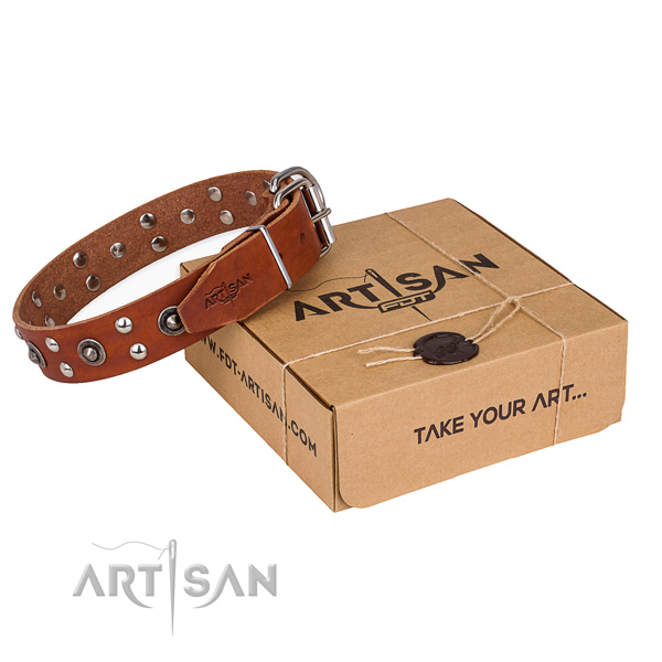Corrosion resistant fittings on full grain leather collar for your stylish dog