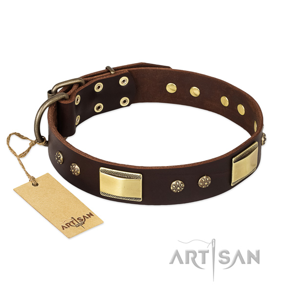Full grain natural leather dog collar with corrosion resistant hardware and studs