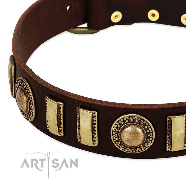 High quality natural leather dog collar with durable fittings
