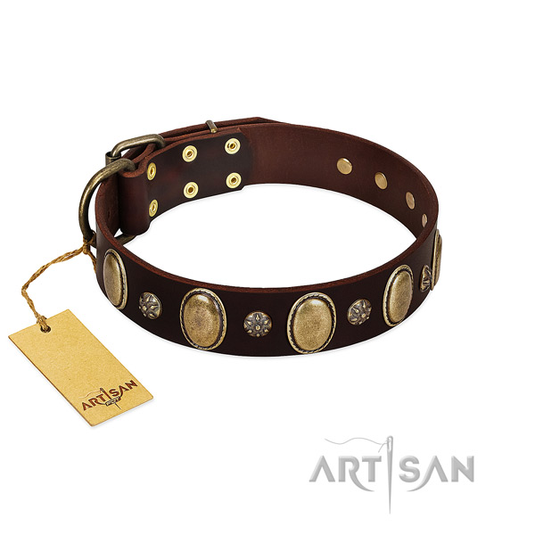 Comfortable wearing best quality leather dog collar with adornments