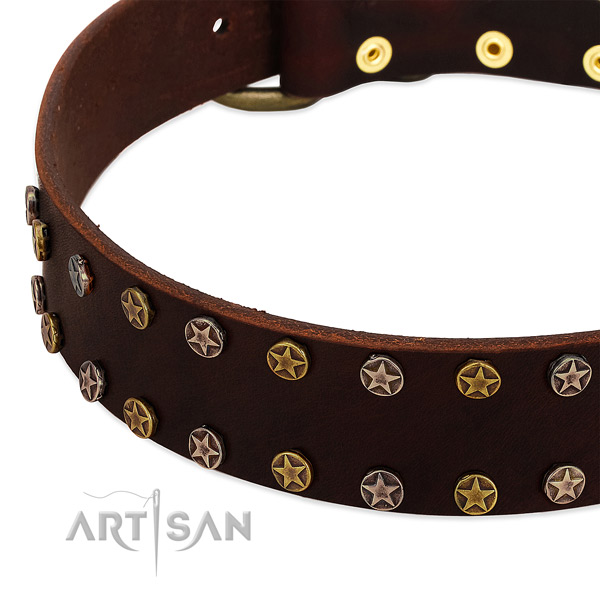 Everyday use natural leather dog collar with stylish embellishments