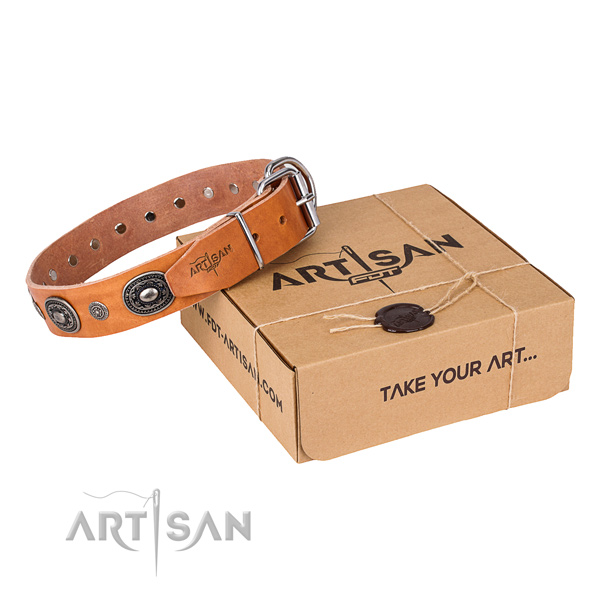 Soft leather dog collar made for daily walking