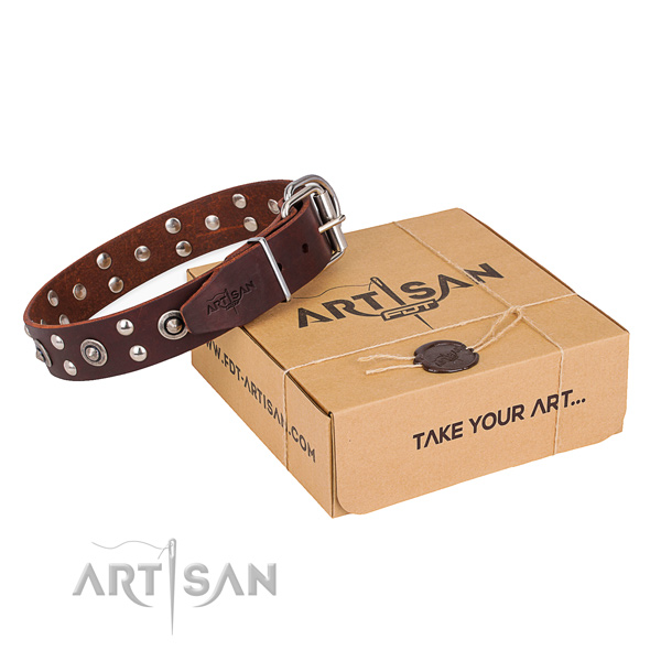 Daily walking dog collar with Designer rust resistant decorations
