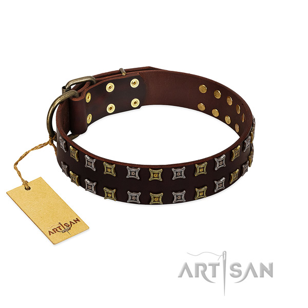 Quality leather dog collar with adornments for your pet